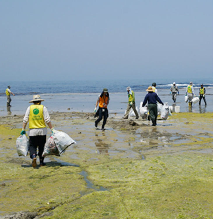海岸清掃活動の様子
画像提供／鳥海山・飛島ジオパーク推進協議会
