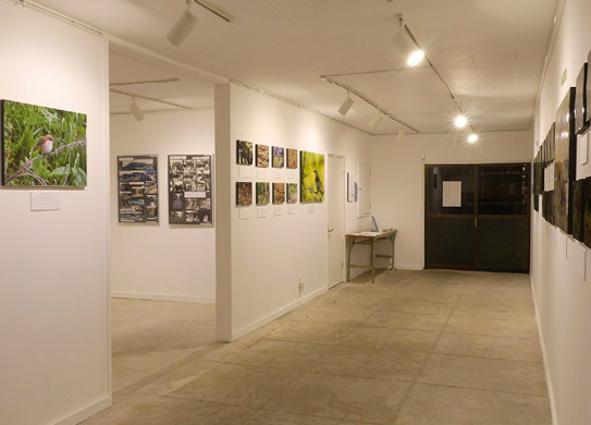 会社の1階スペースにある「地域資料館」。島で撮影した写真などを展示している。