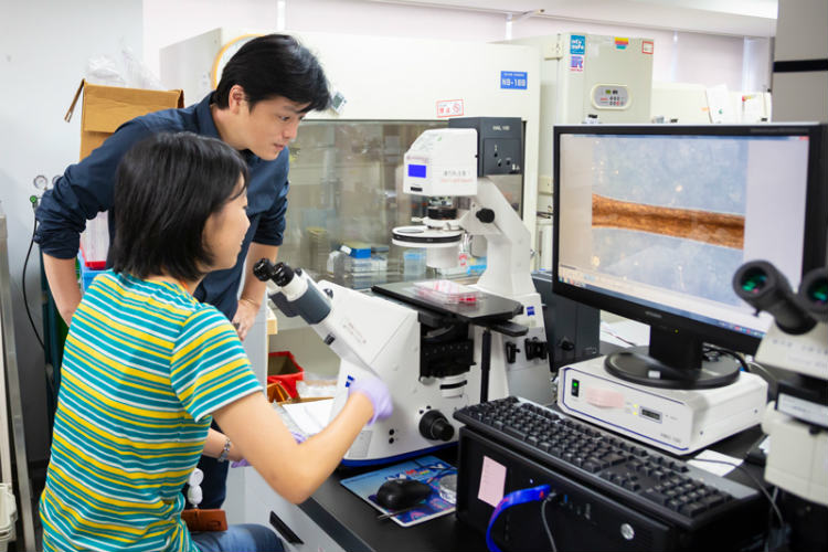 スタッフと共に顕微鏡で培養肉の成長過程を確認