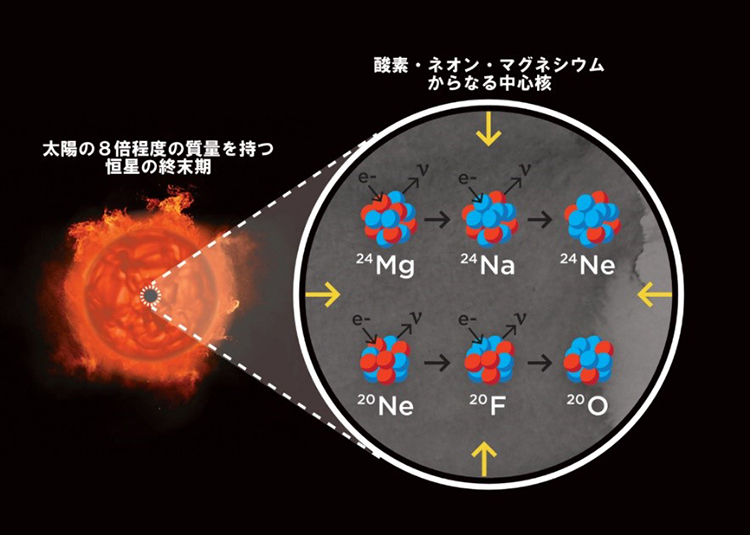 電子捕獲型超新星となる星の内部で起こると考えられる反応の模式図（ラスクンブレス天文台・S.ウィルキンソン氏提供）