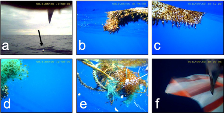 ビデオ記録計に記録された海洋ごみの例。発泡スチロール（a）、フジツボ類が付着したプラスチック（b）と発泡スチロール（c）と漁網（d）、ロープと漁網が絡まったもの（e）、クロアシアホウドリがプラスチックシートをついばむ様子（f）（極地研／北大提供）