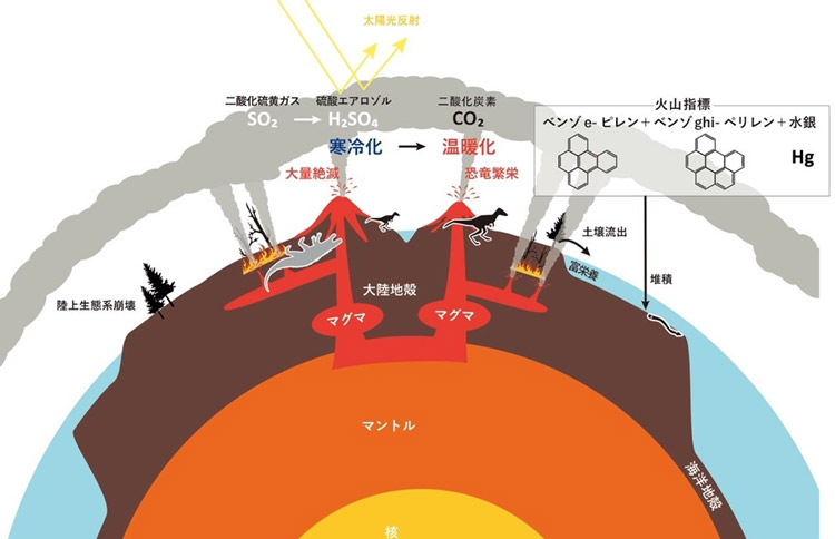 三畳紀末の大量絶滅の原因を解明した研究の概説図。火山活動で地球が寒冷化し、大型のワニが絶滅。恐竜は生き延びて大型化し君臨した。「火山指標」枠内の2つの構造式は、低温のマグマ加熱で多くできるタイプの炭化水素（海保邦夫・東北大学名誉教授提供）