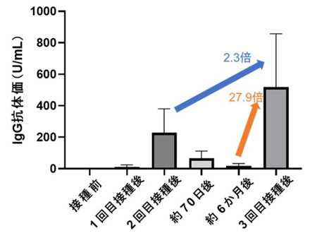 オミクロン株を防ぐ抗体保有率、第6波時は3割弱 3回目接種で100％と横浜市大調査