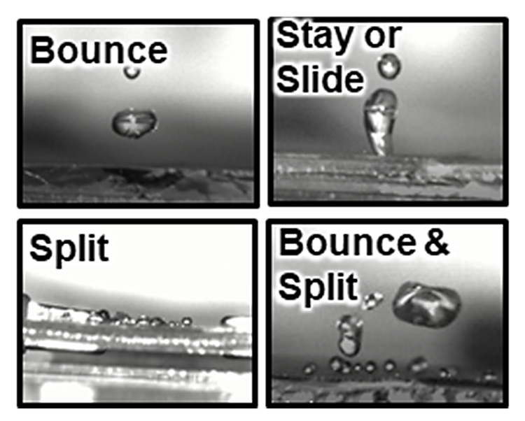 グラフェン表面処理の違いにより、水滴衝突時の振る舞いが変わる。飛び跳ねる（Bounce）、その場にとどまるか滑る（Stay or Slide）、分裂する（Split）、飛び跳ねて分裂（Bounce & Split）の4種類が観察された（研究グループ提供）