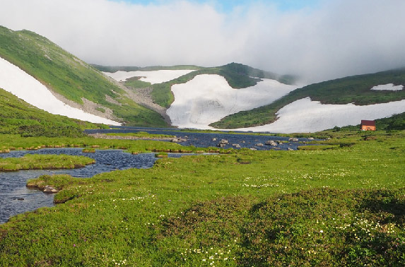 高山植物の生態調査が行われた北海道大雪山系ヒサゴ沼（工藤准教授提供）