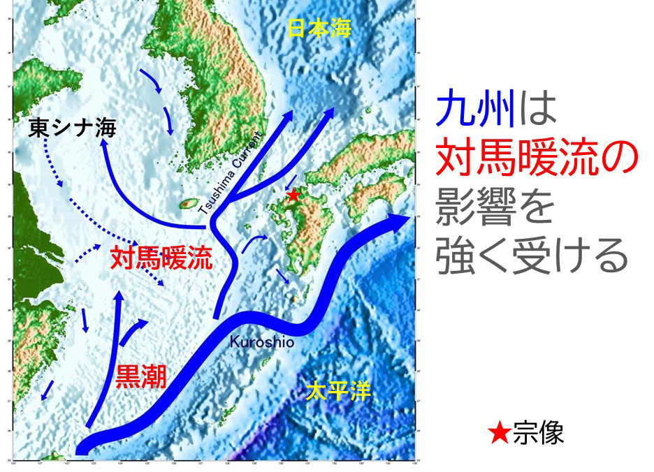 海流の影響によって、九州沿岸は海ごみが非常に多くなっている（清野さん提供）
