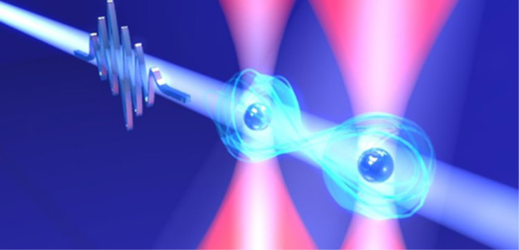 世界最速2量子ビットゲートの概念図。光ピンセット（赤い光）によって数マイクロメートル間隔で捕捉された原子２個を、10ピコ秒だけ光る特殊なレーザー光（青い光）で操作する（冨田隆文・分子科学研究所研究員作成、分子科研提供）