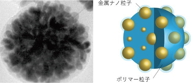 複合体の電子顕微鏡写真（左）と、構造の模式図。ポリマーは高分子（大阪公立大学提供）