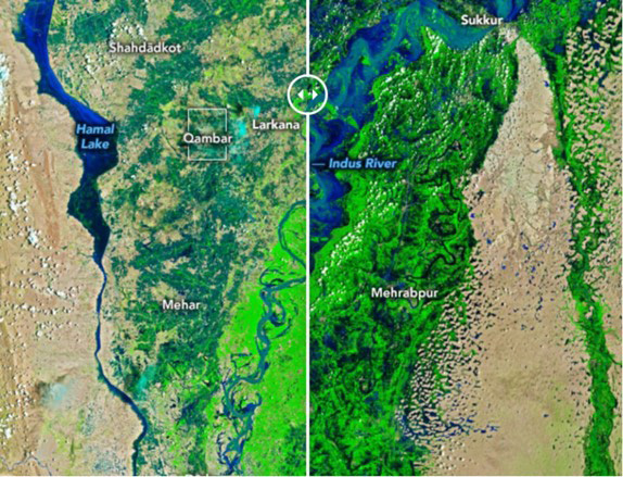 パキスタン南部の洪水被害が拡大する前の8月4日 （左半分、南部西方）と後の同月22日（右半分、南部東方）の衛星画像。22日はインダス川（右半分の左上部分）が氾濫し深い青色が示す洪水部分が拡大していることが分かる（NASA提供）