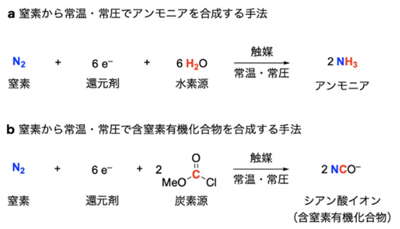 常温常圧で（a）アンモニア、（b）含窒素有機化合物を合成する方法（プレスリリースから）