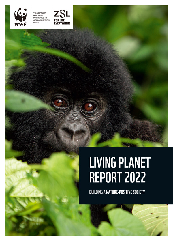 「LIVING PLANET REPORT 2022」と題したWWF報告書の表紙（WWF提供）