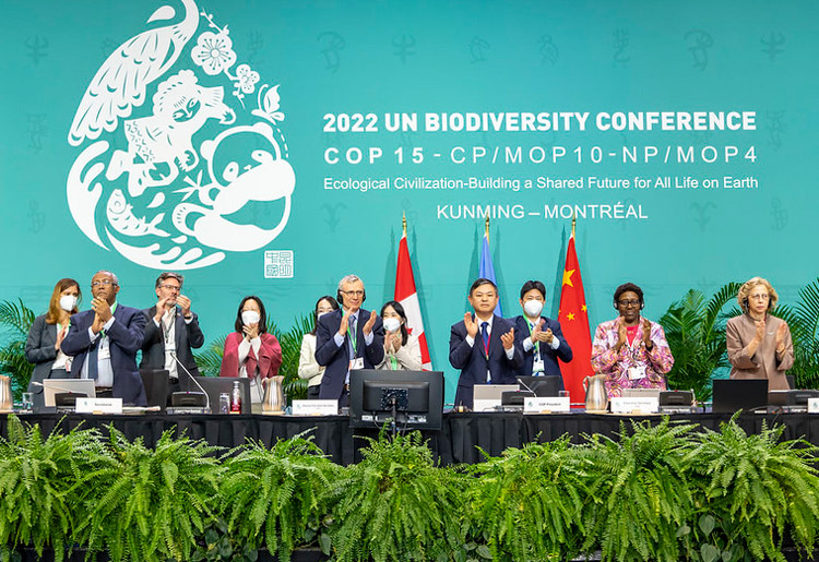 新たな生態系保全目標を採択した直後のCOP15議長席周辺（UNEP提供）