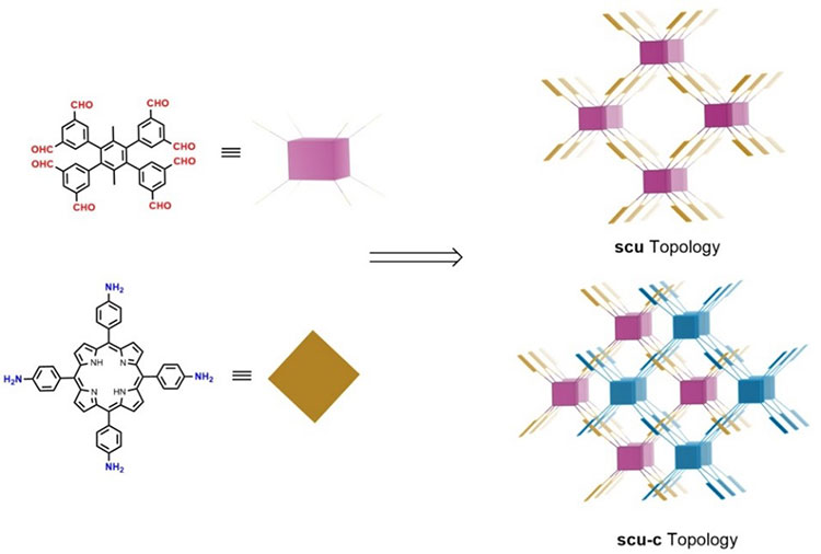 A new COF with a three-dimensional structure is synthesized by combining three-dimensional (purple and blue, identical to each other) and square planar (ocher) molecules (provided by Tokyo University of Science)