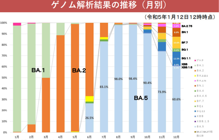 東京都の昨年1年間の感染流行の新型コロナウイルス株の割合。昨年秋以降第7波の中心になったオミクロン株BA.5の割合が低下し、別の亜系統の割合が増えているが、昨年12月時点ではXBB.1.5はまだごく僅かだ（東京都提供）