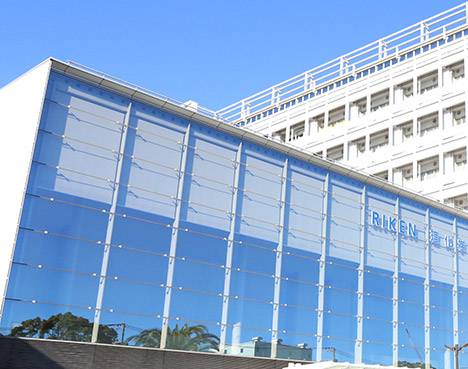 理研生命医科学研究センターがある理研横浜キャンパス（横浜市鶴見区）の一部（理研生命医科学研究センター提供）