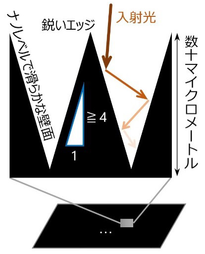 光を閉じ込める構造。微細な凹凸に光が入り込むと、表面で吸収と反射を繰り返し正味の反射率がゼロに近づいていく（産総研提供）