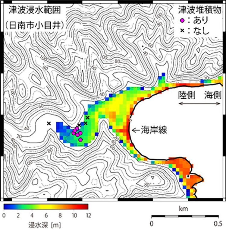津波浸水シミュレーションでは、実際に津波堆積物を確認した宮崎県日南市小目井（紫色の丸のある地域）が浸水することが示された（京都大学、産業技術総合研究所、北海道立総合研究機構提供）