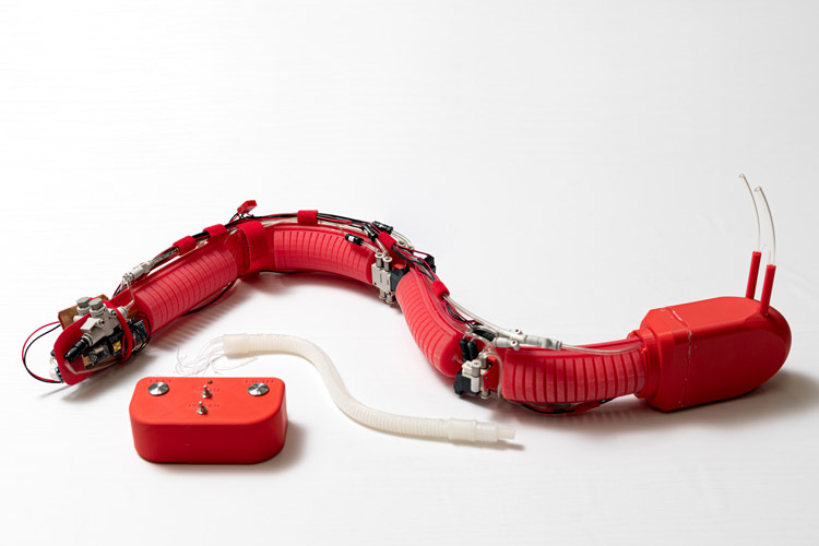 An eel-shaped robot inspired by an eel that moves underwater