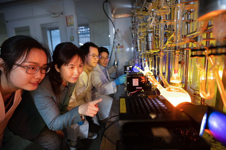 光触媒研究のトップランナーとして活躍する葉金花さん（左から２番目）。中国やインドネシアからの留学生とともに