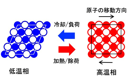 マルテンサイト合金の相変態の模式図。高温相を冷やすと原子が一定方向に同時に動き、結晶格子が変形して低温相になる。外から力を与えても低温相になる（産総研提供）