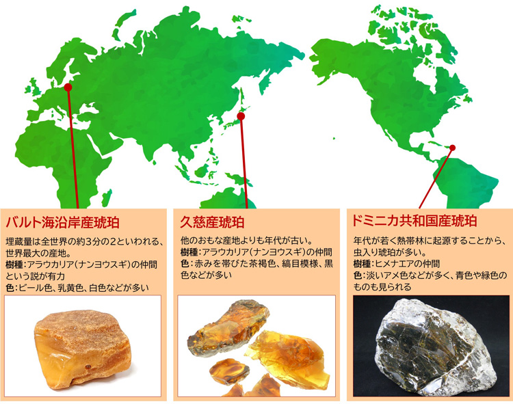 世界の三大琥珀の産地と特徴(写真は久慈琥珀提供)