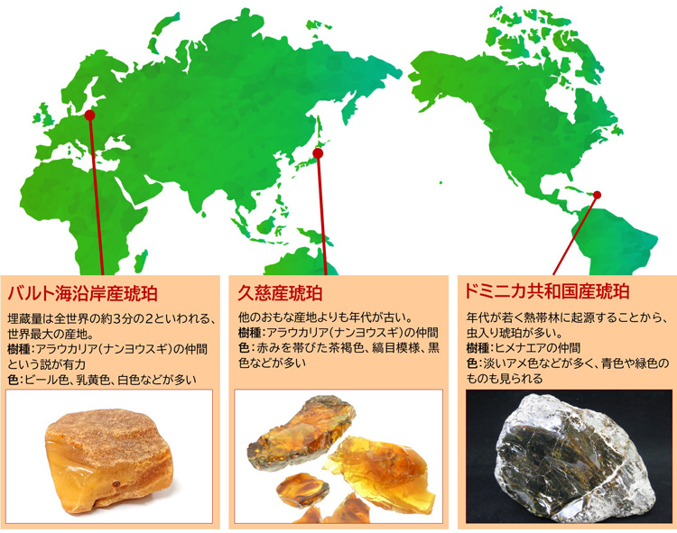 琥珀の新たな付加価値を求めて【地面の下のたからもの】 | Science