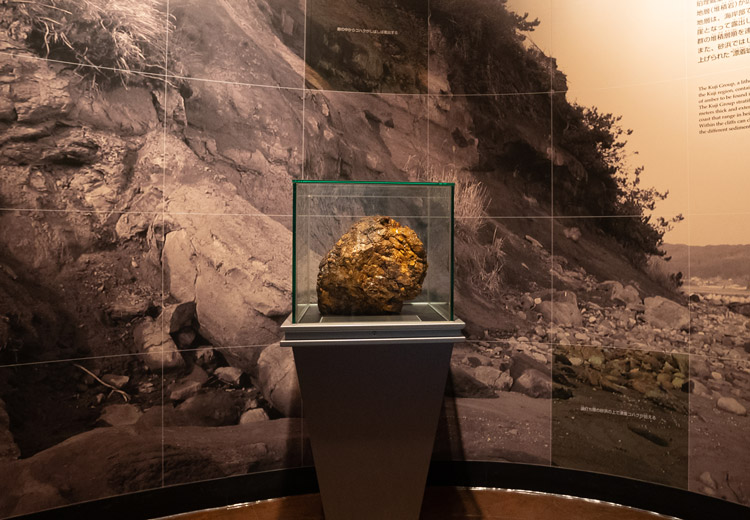 久慈琥珀博物館に展示されている久慈産としては最大の琥珀の原石。重量は約10キログラム