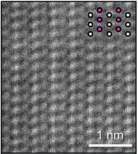 透過型電子顕微鏡で観察したパラジウム・モリブデン触媒。白の点はパラジウム、赤の点はモリブデンを示す（東京工業大学提供）