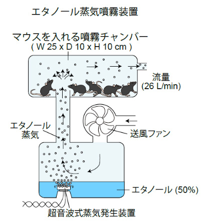 インフルエンザウイルスを抑制するために使った装置の模式図（沖縄科学技術大学院大学提供）