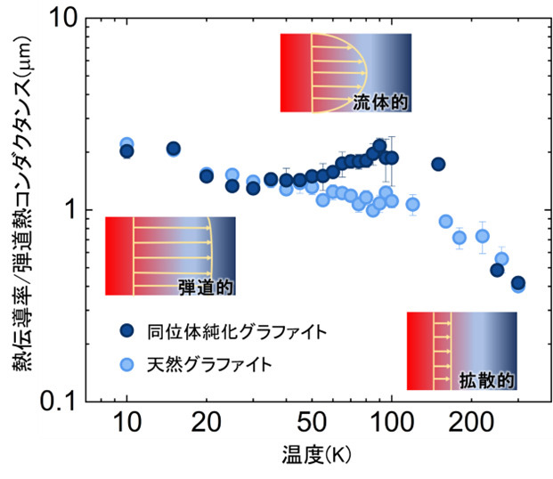 同位体の純度を高めたグラファイト（青）と天然のもの（水色）の熱伝導性能の、温度による変化。縦軸は熱の伝わりやすさを示す。高純度では、高温になるにつれ熱伝導に優れる温度帯があり、フォノンポアズイユ流れが起きている（東京大学提供）