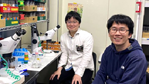 理化学研究所の研究グループの岡田守弘さん（左）とユ・サガンさん（理化学研究所提供）