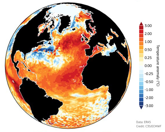6月の北大西洋は海面水温が記録的な高さになった。カラーバーは1991～2020年の平均水温との比較（WMO提供）