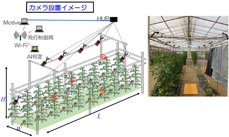ビニールハウス内のカメラ設置のイメージ図。ドローンが見つけたトマトの花の位置を正確に把握するため、大型カメラをWi-Fiでパソコンに接続して処理する（平栗健史教授提供）