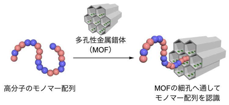 研究の概要。高分子のモノマー配列によっては、MOFの穴の中に自ら入っていく。まるで生き物みたいだ（東京大学提供）