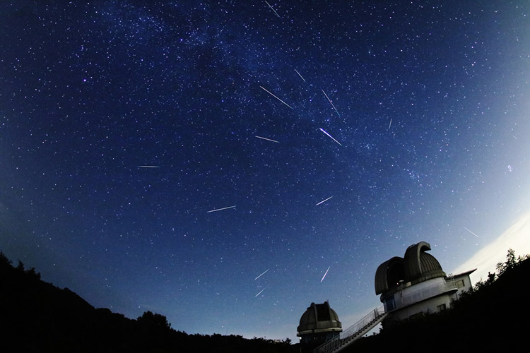 ペルセウス座流星群。2016年8月13日未明に撮影した空に、前後計約4時間半に出現した明るい流星を合成したもの＝岡山県浅口市（国立天文台提供）