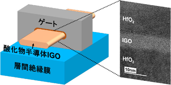 ナノ薄膜酸化物半導体トランジスタと断面の電子顕微鏡写真（東京大学提供）