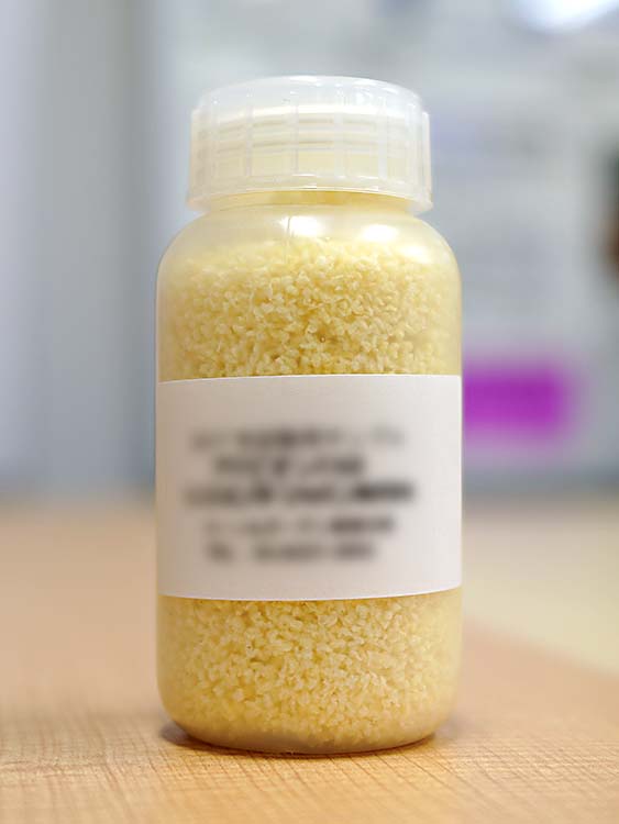 ヒアリ駆除で使われるベイト剤の開発中サンプル。ヒアリが好きなコーンスナック菓子の香りが添加されているという