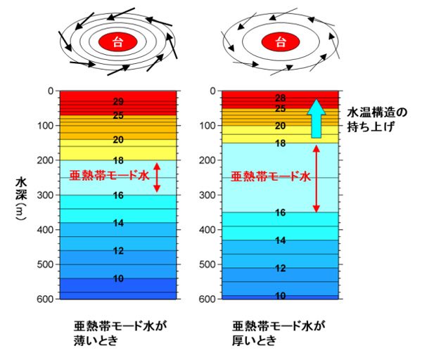 亜熱帯モード水が台風の発達に影響することを示す概念図（東京大学大気海洋研究所提供）