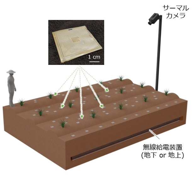 土壌含水率センサーの利用の概念図（大阪大学提供）