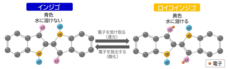 インジゴからロイコインジゴになる変化は逆方向にも進む可逆反応