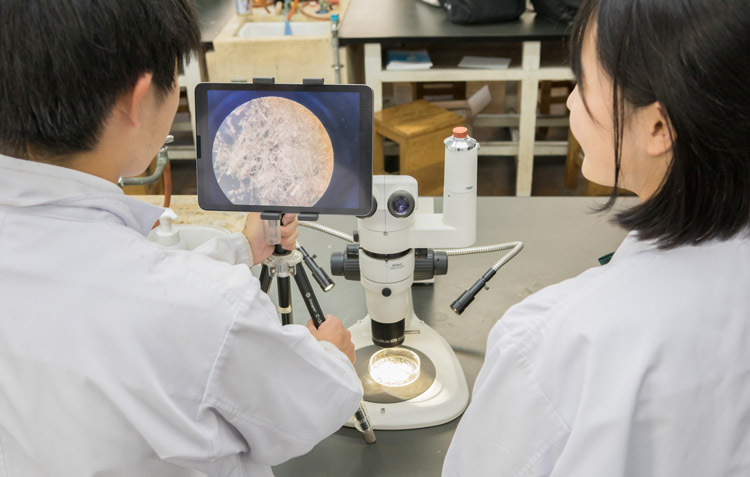 セスキの結晶を顕微鏡で確認する生徒たち