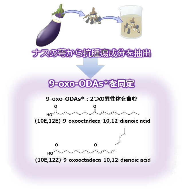 今回の実験に用いたナイン オキソ オーディーエースの構造式（名古屋大学提供）