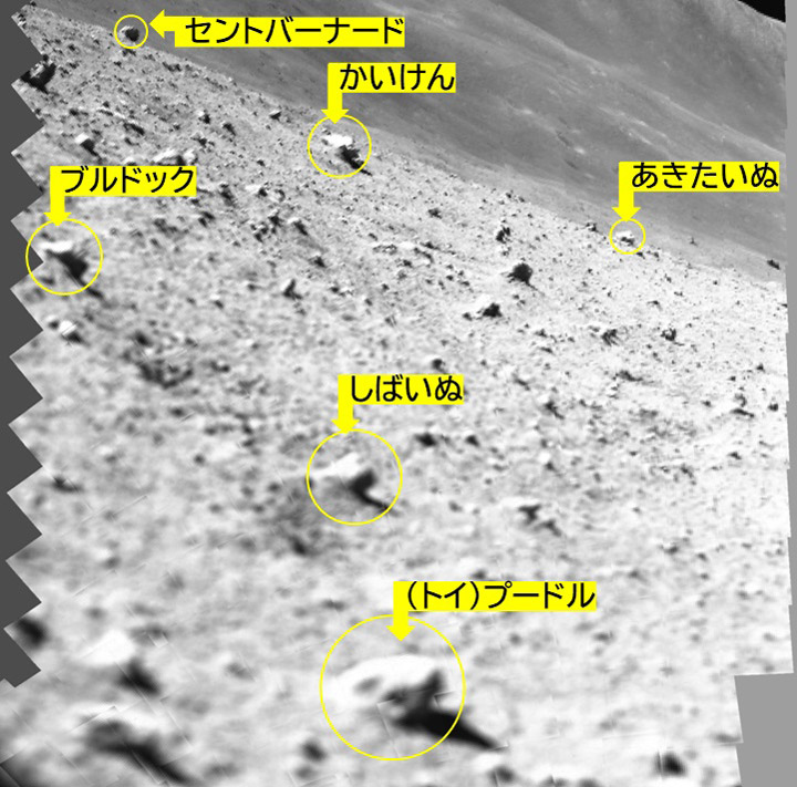 着陸直後の分光カメラによる画像を基に、チームは観測の候補となる岩石に愛称をつけていた。トイプードルもその一つ（JAXA、立命館大学、会津大学提供）