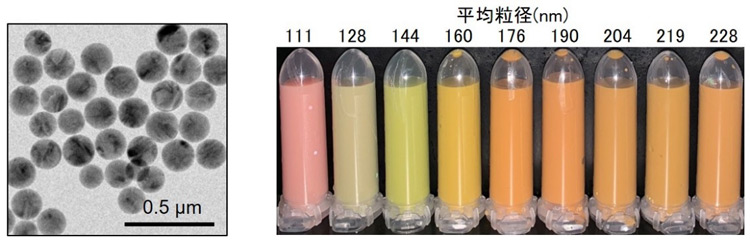 （左）シリコン粒子の透過型電子顕微鏡画像。（右）粒径（nm＝ナノメートル）の違いでさまざまな色に見える構造色ナノ粒子インキ（神戸大学提供）