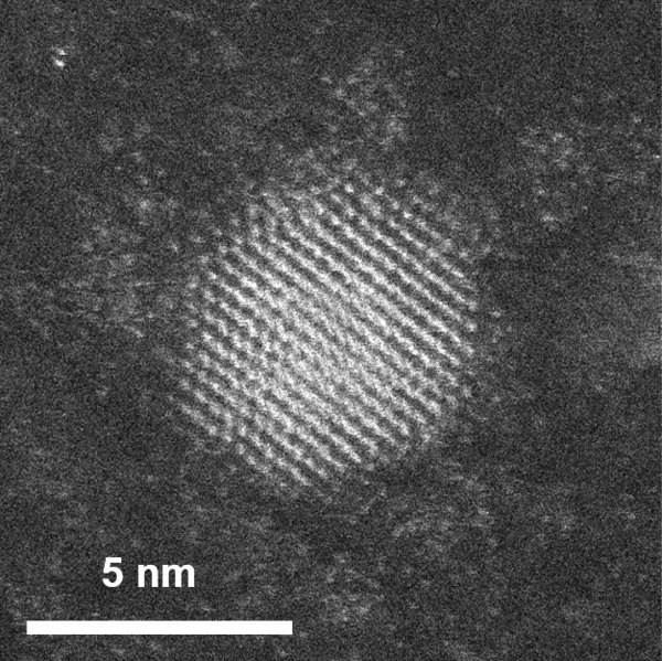 開発した金ナノ粒子。中央の明るい粒がそれぞれ金の原子。周囲にうっすらと金属酸化物ナノクラスターが見える（東京大学提供）