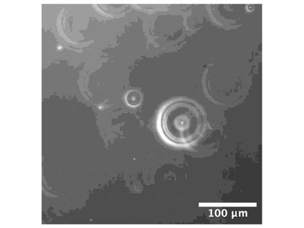 微細な泡が重力により沈む様子を顕微鏡で観測 九州工業大など