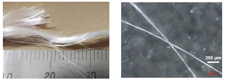 開発した技術でつくった細い糸状のコラーゲン(左)と光学顕微鏡でみた拡大図(北海道大学提供)