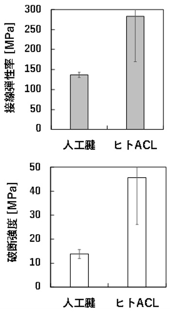 糸状コラーゲンを束にした人工腱とヒトの膝前十字靱帯(ヒトACL)との弾性率と破断強度比較。弾性率はヒトACLの2分の1ほど、破断強度は約3分の1を示した。(北海道大学提供)