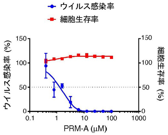 プラディミシンAを、濃度を変えて作用させたときのウイルスの感染率(青色)と、ヒトの気管支の上皮細胞の生存率(赤色)の比較。高濃度でも安全に阻害できることが分かる(名古屋大学提供)