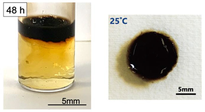 ハイドロゲル接着剤は、ドーパミンを溶かした液体の上部にできる(東北大学の阿部博弥准教授提供)